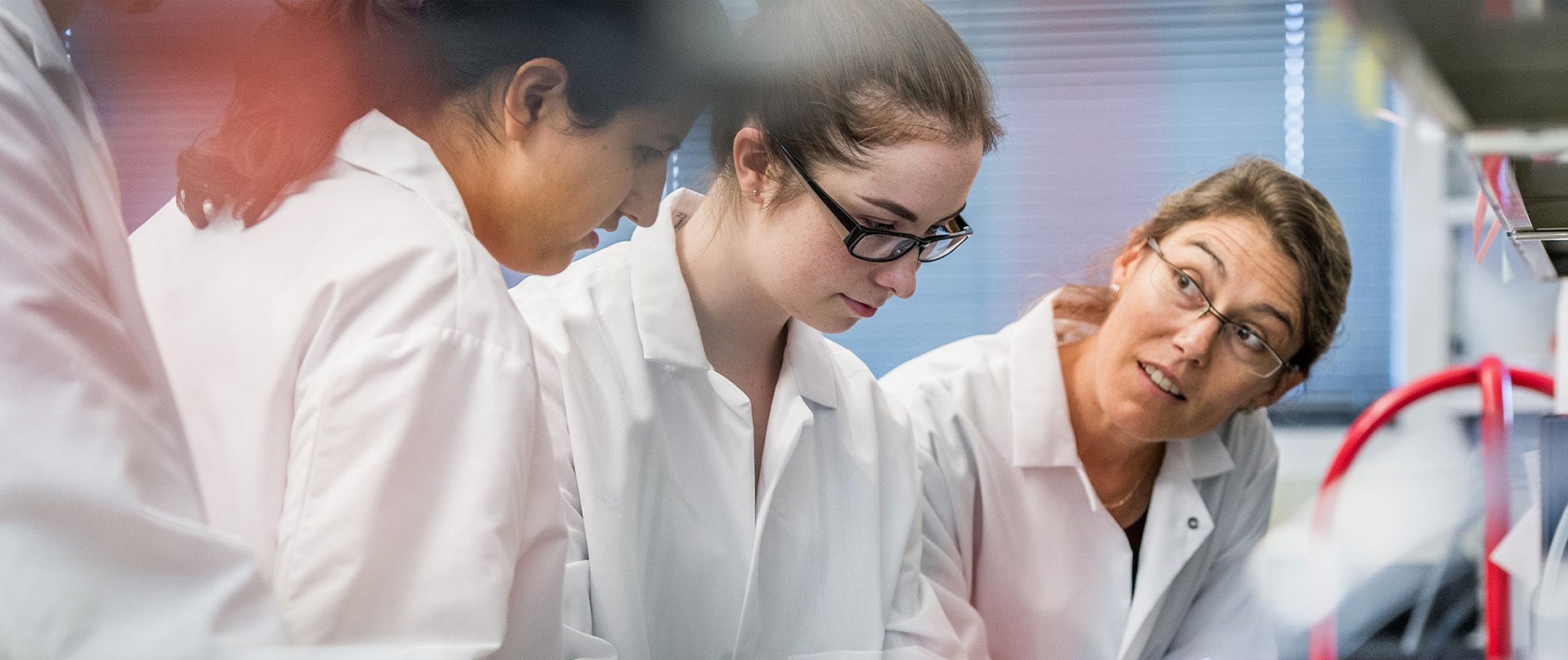 People in a lab environment